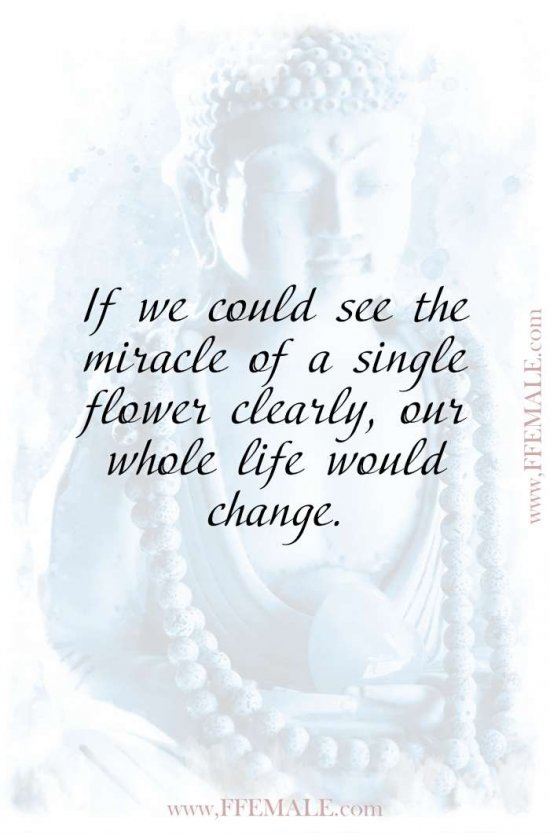 Top 100 Inspirational Buddha Quotes: If we could see the miracle of a single flower clearly, our whole life would change #quotes #Buddha #deep #inspiration #motivation