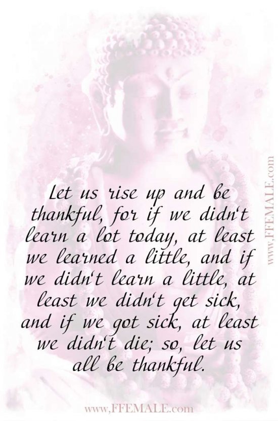 Top 100 Inspirational Buddha Quotes: Let us rise up and be thankful, for if we didn’t learn a lot today, at least we learned #quotes #Buddha #deep #inspiration #motivation