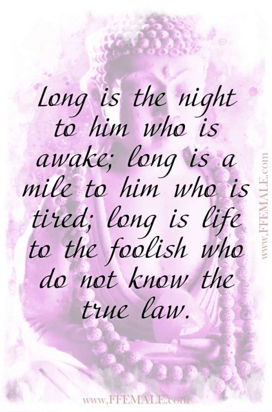 Top 100 Inspirational Buddha Quotes: Long is the night to him who is awake; long is a mile to him who is tired; long is life to the foolish who do not know the true law #quotes #Buddha #deep #inspiration #motivation
