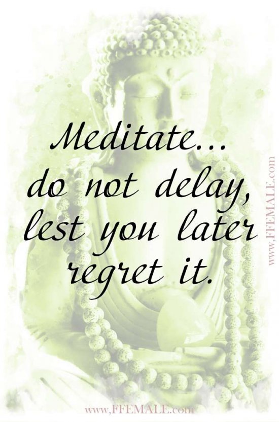 Top 100 Inspirational Buddha Quotes: Meditate, do not delay, lest you later regret it #quotes #Buddha #deep #inspiration #motivation