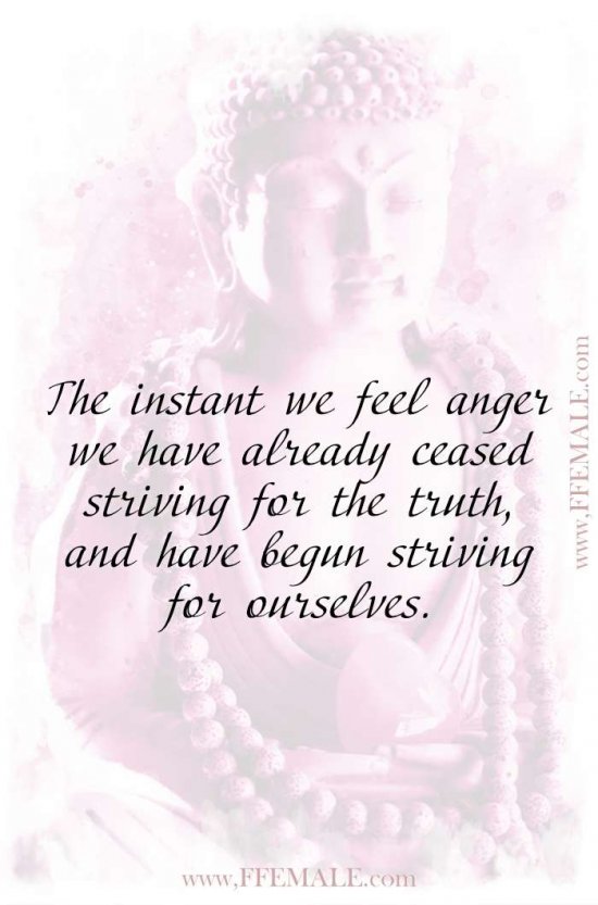 Top 100 Inspirational Buddha Quotes: The instant we feel anger we have already ceased striving for the truth, and have begun striving for ourselves #quotes #Buddha #deep #inspiration #motivation