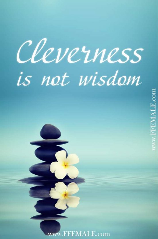 50+ Deep Motivational quotes: Cleverness is not wisdom #quotes #deep #motivation #inspiration #quote