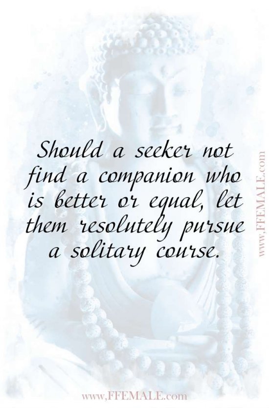 Deep quotes that make you think - Buddha - Should a seeker not find a companion who is better or equal, let them resolutely