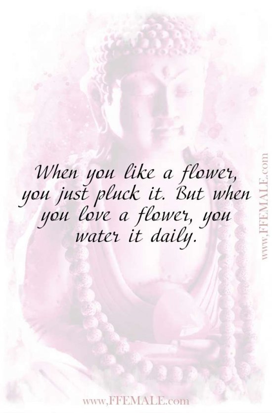 Deep quotes that make you think - Buddha - When you like a flower, you just pluck it. But when you love a flower, you water it daily