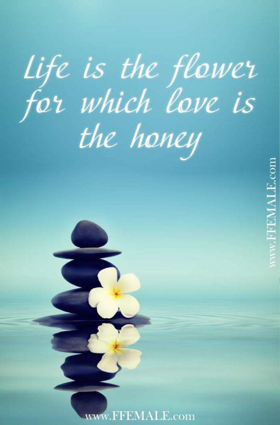 Deep quotes that make you think - Life is the flower for which love is the honey
