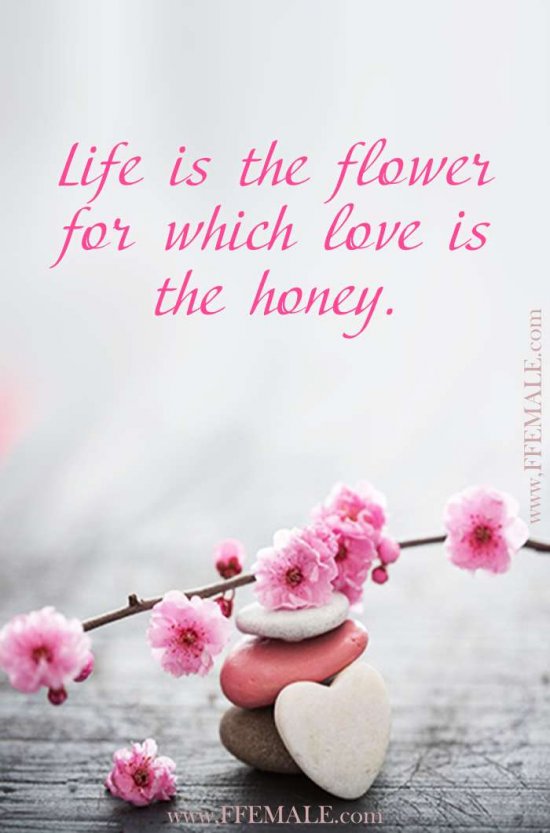 Best motivational love quotes: Life is the flower for which love is the honey #quotes #love #passion #motivation #inspiration