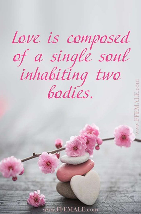 Best motivational love quotes: Love is composed of a single soul inhabiting two bodies #quotes #love #passion #motivation #inspiration